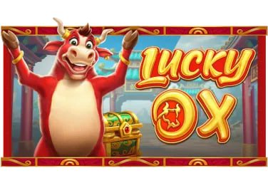 9d bet casino
