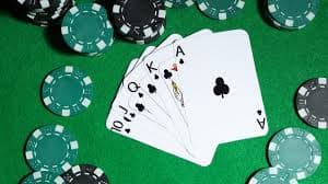 9d bet casino