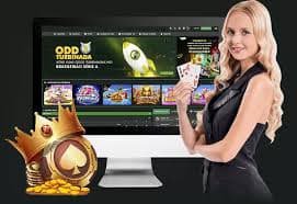 9d bet casino